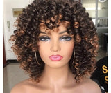 Synthetic Fiber Soft Hair Short Curly Wig Mixed With Colors 271