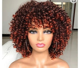 Synthetic Fiber Soft Hair Short Curly Wig Mixed With Colors 271