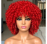 Synthetic Fiber Soft Hair Short Curly Wig Mixed With Colors 271