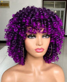 Synthetic Fiber Soft Hair Short Curly Wig Mixed With Colors 271