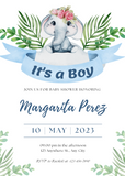 Baby Shower Invitations